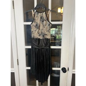 Black Sheer Dress Dark Romance Whimsygoth Gothic Womens Large Curtain Call Ii